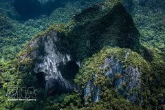Le parc national de Phong Nha - Ke Bang, dans la province de Quang Tri figure dans la liste des 11 plus belles destinations du Vietnam en 2026. Photo : VNA