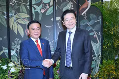 Trân Câm Tu, membre du Bureau politique et permanent du Secrétariat du Comité central du Parti communiste du Vietnam (gauche) et Lawrence Wong, secrétaire général du Parti d’action populaire (PAP) de Singapour et Premier ministre singapourien. Photo : VNA