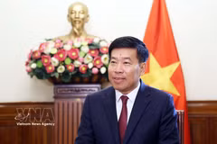 Le membre du Comité central du Parti, secrétaire adjoint permanent du Comité du Parti du ministère des Affaires étrangères et vice-ministre des Affaires étrangères, Nguyên Manh Cuong. Photo : VNA