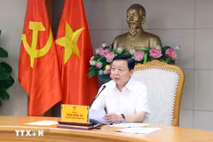 Le vice-Premier ministre Tran Hong Ha. Photo : VNA
