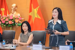 La docteure Nguyen Thi Bich Lan, directrice de l’Institut de l’innovation et de la transformation numérique. Photo : VNA