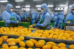 Ouvriers d'une entreprise de transformation alimentaire dans la province de Dong Nai. Photo : VNA