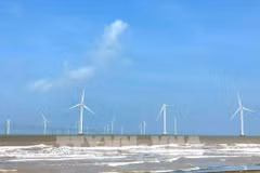Les systèmes d’énergie éolienne contribuent à créer des sources d’énergie vertes. Photo : VNA