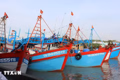 La flotte de navires de grande capacité aptes à pêcher dans des zones de pêche éloignées telles que Côn Dao, Truong Sa et DK1 représente 60 % du total. Photo : VNA