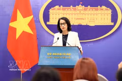 La porte-parole du ministère des Affaires étrangères Pham Thu Hang. Photo : VNA