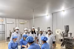 Dans la commune de Con Cuông, province de Nghe An, la société par actions Pu Mat de plantes médicinales a développé des produits de cissus et de Gymnema sylvestre en extrait concentré, certifiés OCOP 4 étoiles. Photo : VNA