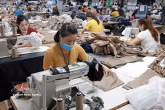 Les exportations du Vietnam enregistrent des signes encourageants, avec une forte progression des commandes au deuxième trimestre 2026. Photo d'illustration : VNA