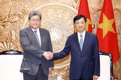 Nguyen Duy Ngoc, membre du Bureau politique, président de la Commission de l'organisation du Comité central du Parti communiste du Vietnam (PCV) et président du Groupe d'amitié parlementaire Vietnam-Japon (droite) et Hagiuda Koichi, secrétaire général exécutif par intérim du Parti libéral-démocrate (PLD) du Japon. Photo : VNA