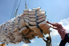 Les produits vietnamiens exportés vers les États-Unis ne sont pas en concurrence directe avec les entreprises américaines sur le marché américain. Photo : VNA