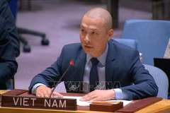 Le ministre conseiller Nguyen Hoang Nguyen, représentant permanent adjoint du Vietnam auprès des Nations Unies. Photo : VNA