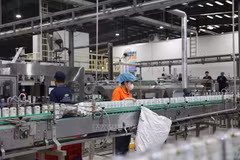 Des ouvriers travaillent sur une chaîne de production dans une usine du parc industriel de Châu Duc, à Hô Chi Minh-Ville. Photo : VNA