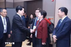 Le président Luong Cuong reçoit la fondatrice du groupe MEBO International, Li Li. Photo : VNA