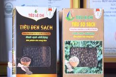 Les produits à base de poivre de la Coopérative agricole et de services de Nam Yang, dans la commune de Kon Gang (province de Gia Lai), ont obtenu la certification biologique USDA (États-Unis). Photo : VNA