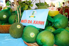 Le pamplemousse figure parmi les cinq principales cultures fruitières de la province de Dông Nai. Photo : VNA