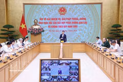Le vice-Premier ministre Trân Hông Hà lors de la réunion. Photo : VNA