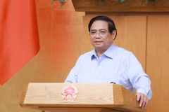 Le Premier ministre Pham Minh Chinh lors de la réunion. Photo : VNA