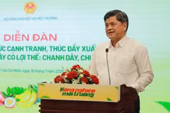 Le vice-ministre de l'Agriculture et de l'Environnement, Tran Thanh Nam. Photo : VNA