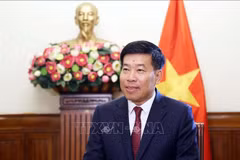Le vice-ministre vietnamien des Affaires étrangères, Nguyen Manh Cuong. Photo : VNA