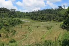 Une sismicité induite est continuellement observée dans le district de Kong Plong depuis 2021. (Photo : VNA)