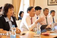 Pham Anh Tuan, secrétaire adjoint du Comité du Parti et président du Comité populaire de la province de Gia Lai, s'exprime lors d'une rencontre avec l'ambassade du Vietnam en Allemagne. Photo : VNA
