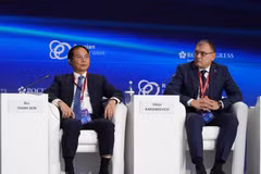 Le vice-Premier ministre Bui Thanh Son lors du forum. Photo : VNA