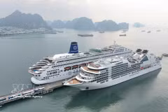 Vue d’ensemble du port international de passagers de Ha Long, animé dans la matinée du premier jour du Têt Bính Ngọ 2026, avec l’arrivée de deux paquebots de luxe, le Seabourn Encore et le Piano Land. Photo M VNA