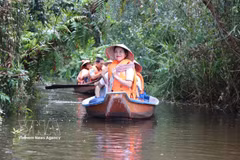 Des touristes font une promenade en barque pour découvrir la réserve écologique de Dong Thap Muoi, dans la commune de Tan Phuoc 2, province de Dong Thap. Photo : VNA