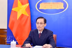 Le ministre des Affaires étrangères Le Hoai Trung. Photo : VNA