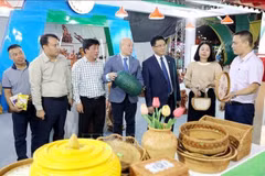 Ouverture de la Foire de promotion commerciale du delta du fleuve Rouge à Hung Yen