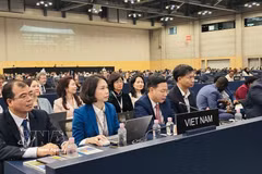 Le vice-ministre des Affaires étrangères Ngô Lê Van, président de la Commission nationale vietnamienne pour l’UNESCO, prononce une allocution lors de la 48e session du Comité du patrimoine mondial de l’UNESCO. Photo : VNA