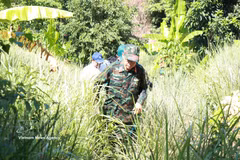 Les forces participant aux opérations de reconnaissance et de recherche des restes des martyrs progressent à pied à travers les forêts. Photo : VNA