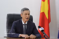 L'ambassadeur du Vietnam au Cambodge, Nguyên Minh Vu. Photo : VNA