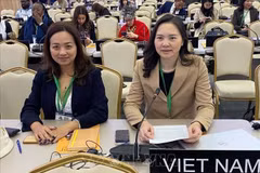 Nguyên Thi Vân Anh, ambassadrice, cheffe de la Délégation permanente du Vietnam auprès de l’UNESCO ors de la 43ᵉ session de l’UNESCO. Photo : VNA