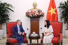 La vice-ministre des Affaires étrangères Lê Thi Thu Hang et levice-président exécutif de CNN International Commercial (CNNIC), Phil Nelson, Phil Nelson. Photo : VNA