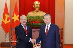 Le secrétaire général du Parti communiste du Vietnam et président de la République, Tô Lâm (droite) et le secrétaire général du Parti du Travail et sénateur, Alberto Anaya Gutierrez . Photo : VNA
