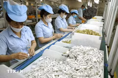 Fabrication d’appareils électroménagers à l’usine de Panasonic Life Solutions Vietnam, implantée dans le Parc industriel Vietnam-Singapour (VSIP) de Tân Uyên, province de Binh Duong. Photo d’illustration : VNA