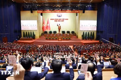 Les délégués votent l'adoption de la Résolution du 14e Congrès national du Parti communiste vietnamien. Photo : VNA