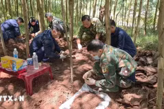 Le 3 octobre, l’équipe n°1 de recherche et de rapatriement des dépouilles de martyrs, relevant du Département politique du Commandement militaire provincial de Quang Tri, a retrouvé et exhumé trois nouvelles dépouilles dans une forêt de melaleuca du hameau de Bai Dinh, commune de Dan Hoa, province de Quang Tri, avant de les rapatrier. (Photo : VNA)
