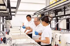 Une ligne de production de la société japonaise Onaga Co., Ltd. à HANSSIP (Photo : nhandan.vn)