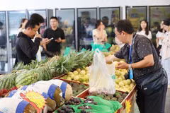 Les exportations vietnamiennes de fruits et légumes ont connu un excellent début d'année. Photo ; VNA