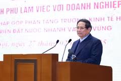 Le Premier ministre Pham Minh Chinh. Photo : VNA