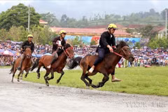 Course hippique lors de la finale du Tournoi élargi de courses de chevaux traditionnelles de Bắc Hà (Lào Cai). Photo : VNA