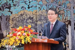 Le vice-ministre vietnamien des Finances, Tran Quoc Phuong. Photo : VNA