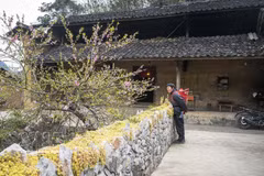 Des maisons traditionnelles en pisé des H'Mông dans le hameau de Lao Xa, commune de Sung La, district de Dông Van, province de Hà Giang. Photo : VNA