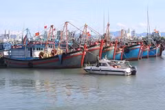 La province de Khanh Hoa surveille de près sa flotte de pêche. (Photo : nongnghiepmoitruong.vn)
