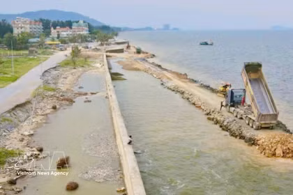 La province de Thanh Hoa accélère les travaux de construction sur les digues et ouvrages de protection importants. Photo : VNA