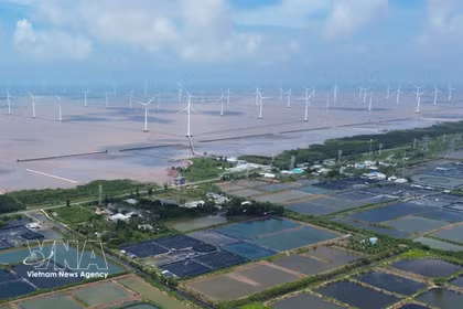 Un projet éolien en mer dans la commune de Dong Hai, province de Ca Mau. Photo : VNA