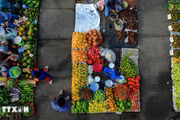 Vi Thanh, l’authenticité d’un marché rural au cœur de Can Tho