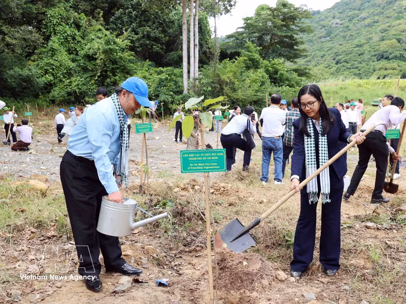 Des dirigeants de l'Union des organisations d'amitié de Hô Chi Minh-Ville plantent des arbres dans le « Jardin de l'Amitié » de la zone économique spéciale de Con Dao. Photo : VNA