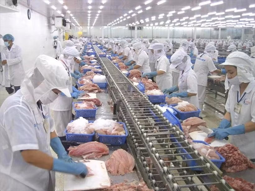 Le traitement des produits aquatiques pour l'exportation. Photo : VNA